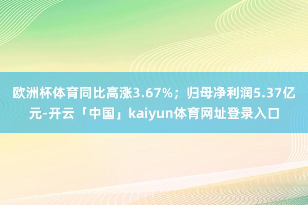 欧洲杯体育同比高涨3.67%;归母净利润5.37亿元-开云「中国」kaiyun体育网址登录入口