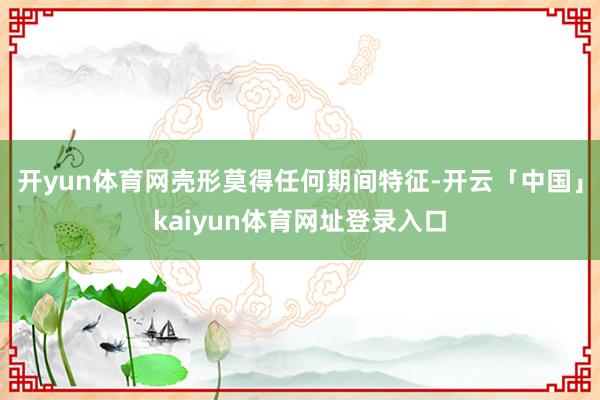 开yun体育网壳形莫得任何期间特征-开云「中国」kaiyun体育网址登录入口