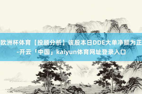 欧洲杯体育【投顾分析】该股本日DDE大单净额为正-开云「中国」kaiyun体育网址登录入口